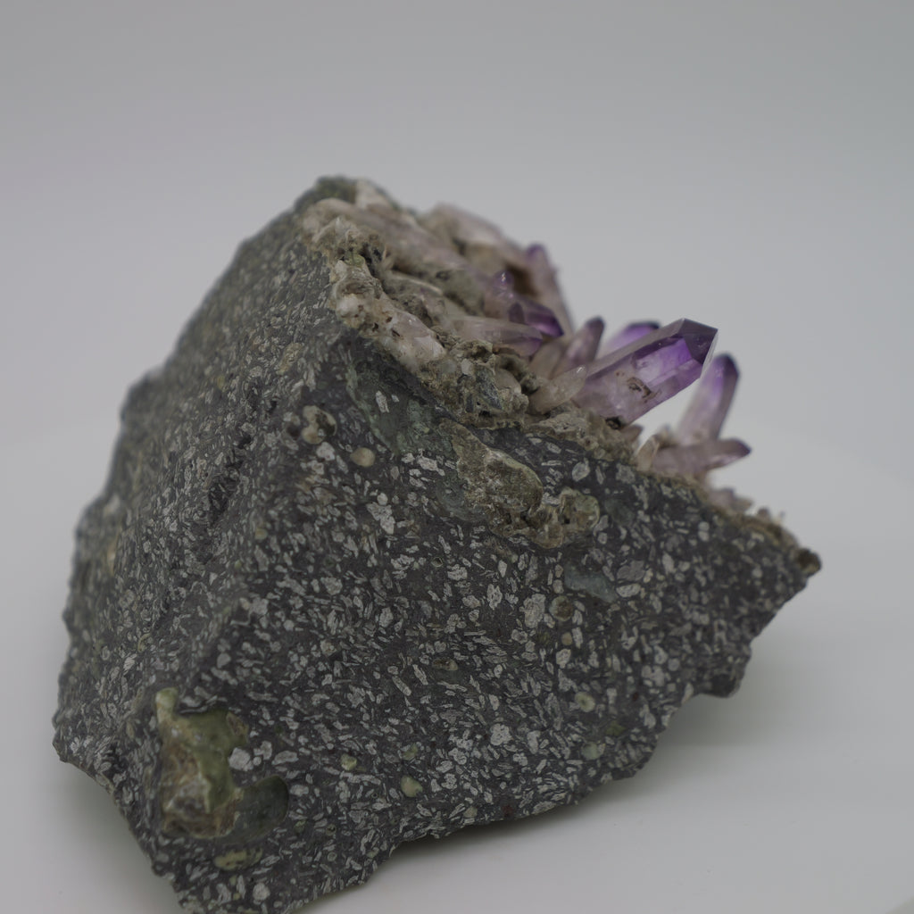 Vibrant Vera Cruz Amethyst Cluster