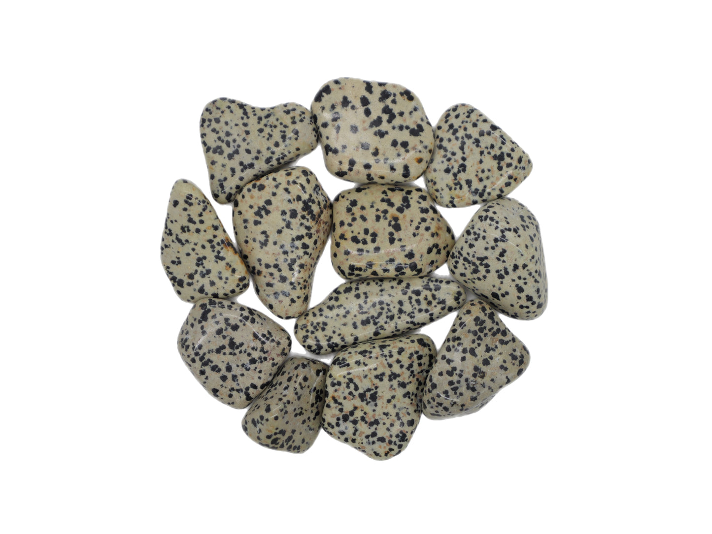 Dalmatian Jasper, Tumbled